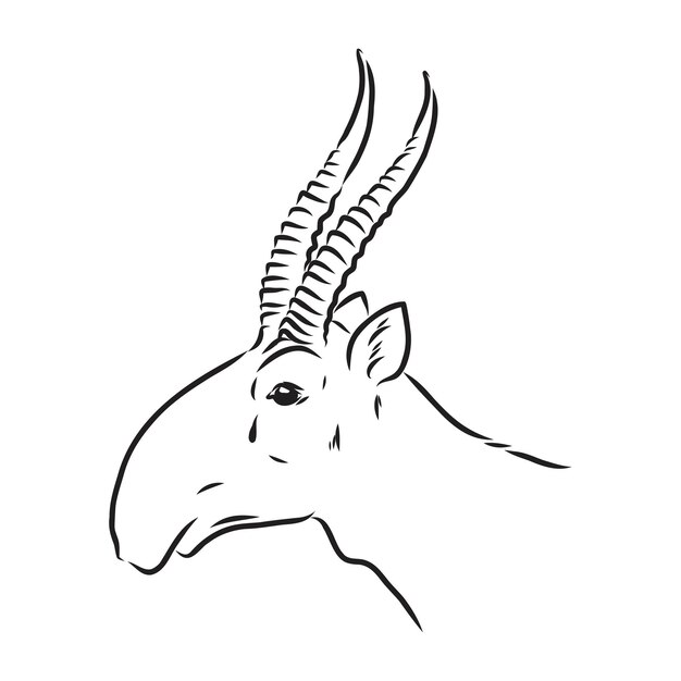 ベクトル 白い背景の上のベクトルシルエットサイガサイガ動物ベクトル