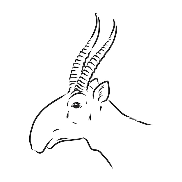 Vector silhouette saiga on white background saiga animal vector