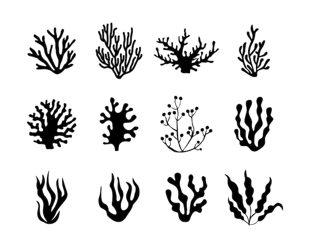 vector silhouette of seaweed coral and algae underwater fauna