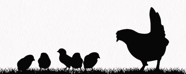Vector vector silhouette set of detailed quality chickens hens and baby chicks in farm