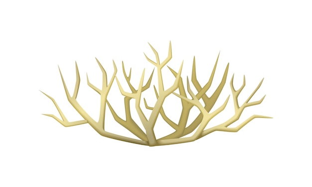 Vector vector a simple coral on white background