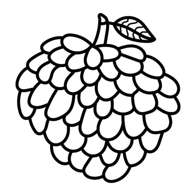 14+ Berry Coloring Pages