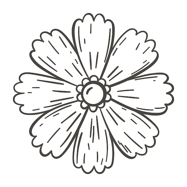 Vector simple doodle illustration of wild flower