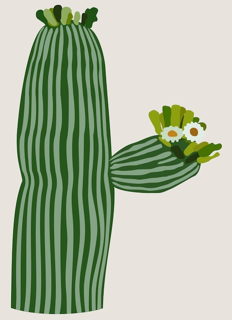 Vector simple illustration of blooming cactus isolated on light background.