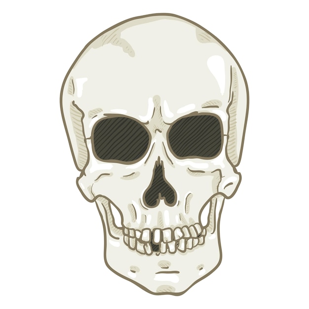 ベクトル 1 つ漫画イラスト ホワイト人間の頭蓋骨