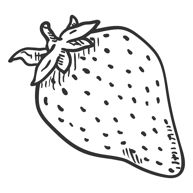Vector Single Sketch Strawberry