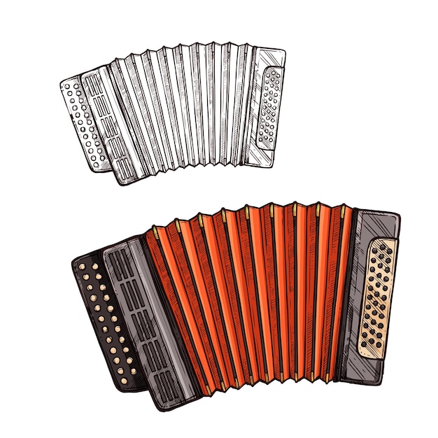 Vector vector sketch accordion musical instrument