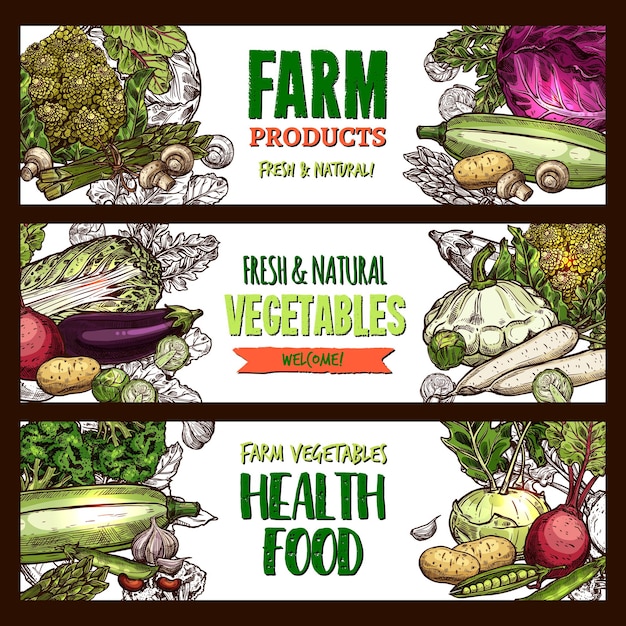 Vector sketch banners of farm organic vegetables