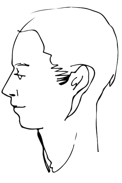 Vector sketch of a beautiful man profile