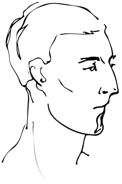 Vector vector sketch of a beautiful man profile