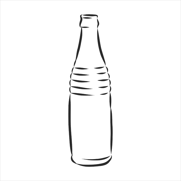 Vector of Sketch Bottles. Vector of Sketch Bottles. glass bottle, vector sketch illustration