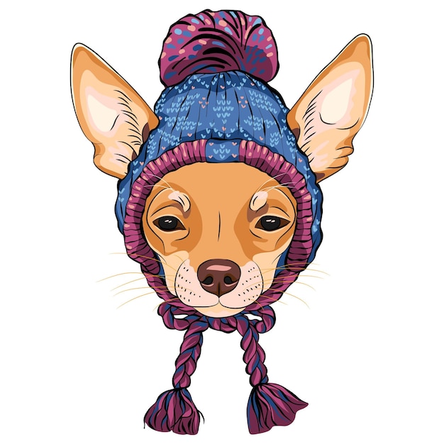 Vector sketch of cartoon hipster cute dog chihuahua breed in knitted hat and scarf