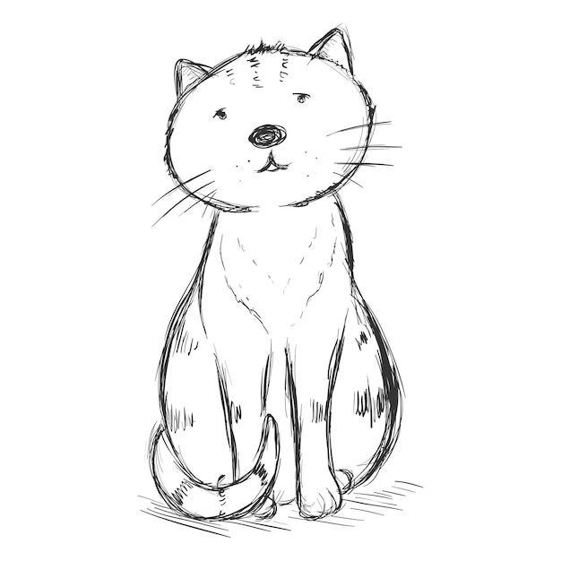 Vector Sketch Character - Funny Sitting and Staring at You Cat