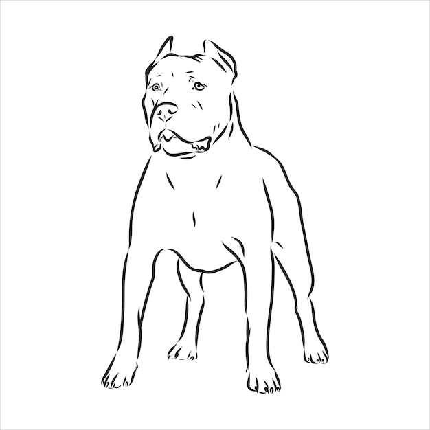 Vettore disegno vettoriale schizzo pitbull che abbaia pit bull terrier cane disegno vettoriale