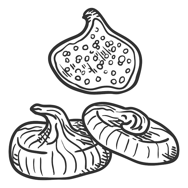 Векторный рисунок сушеных инжирных фруктов