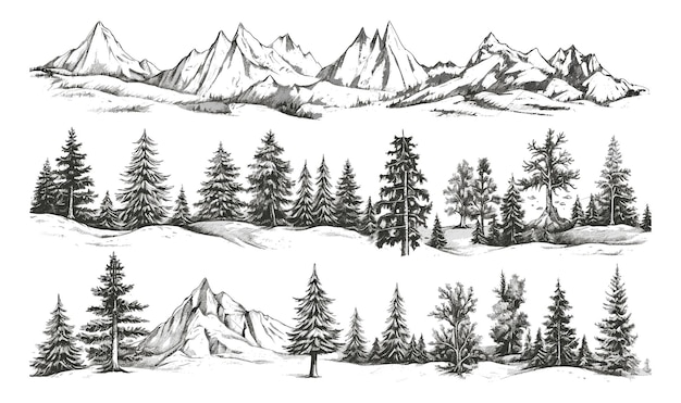 Vector sketch of forest and mountains