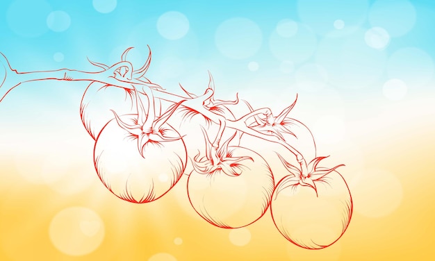 Schizzo vettoriale di illustrazione di pomodoro fresco con sfondo chiaro