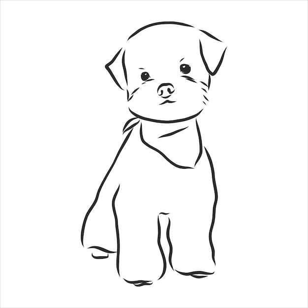 Vector Sketch Funny dog maltese breed sitting hand drawing vector