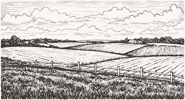 Vector vector sketch green grass field on small hills meadow alkali lye grassland pommel lea pasturage farm