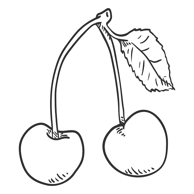 Vettore illustrazione di schizzo vettoriale due ciliegie su un ramo con foglia