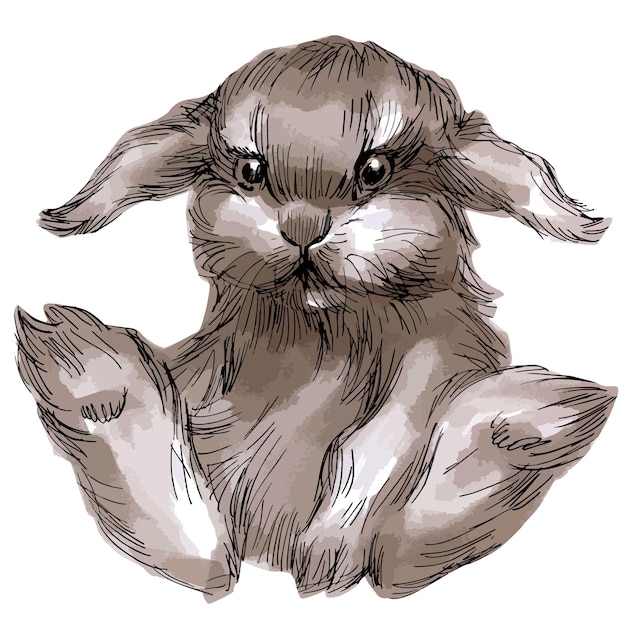 Vector sketch marker illustration of cute smiling rabbit portrait