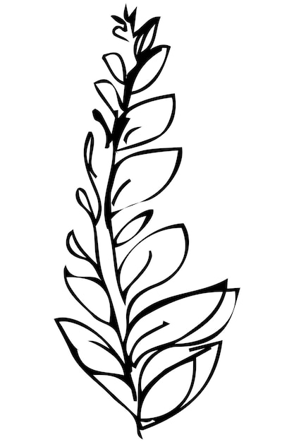 Vector sketch of a plant twig and leaves