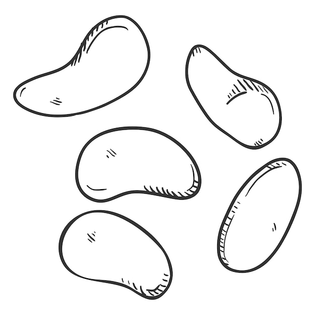 Vector Sketch Set of Beans