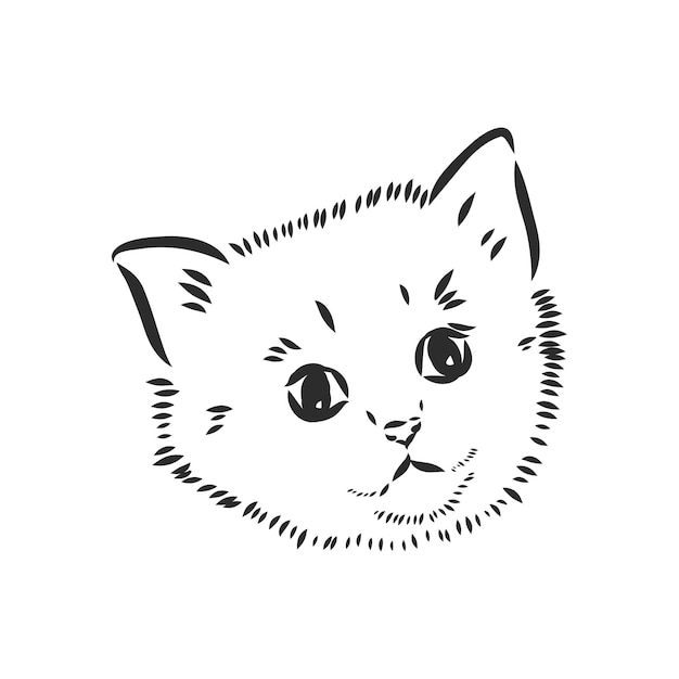 새끼 고양이 벡터 스케치의 양식된 새끼 고양이 얼굴 초상화의 벡터 스케치