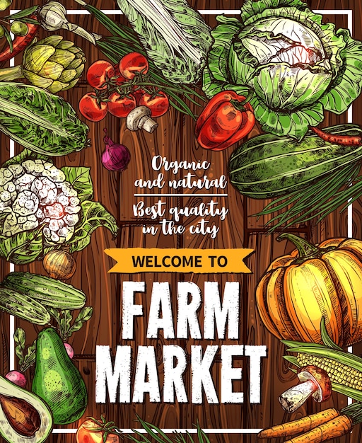 Vector vector sketch vegetables farm market poster