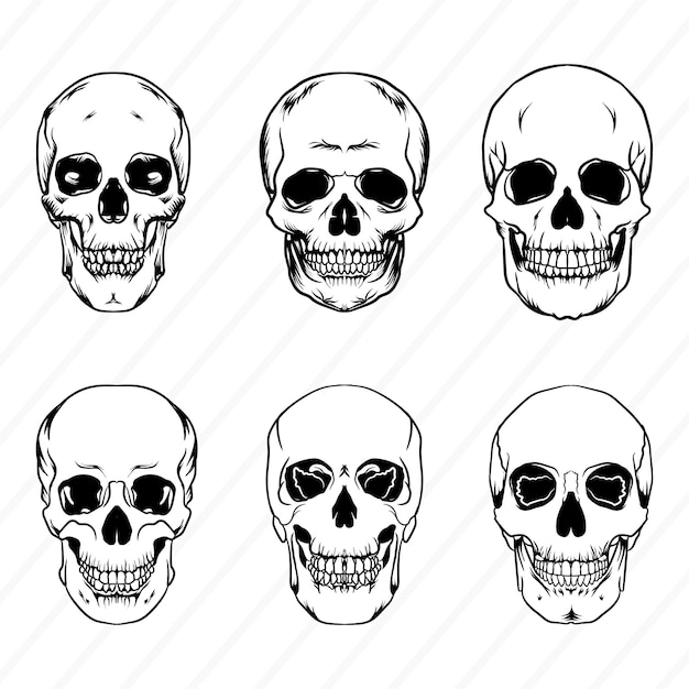 Vector Skull Bundle