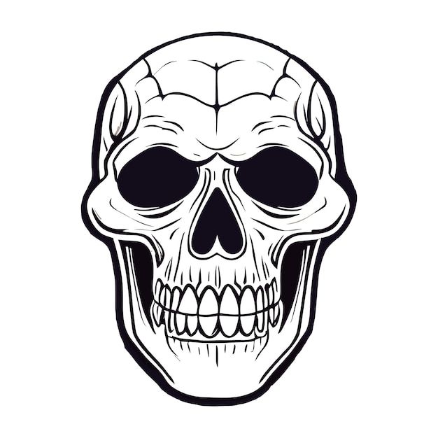 Vector skull in crown