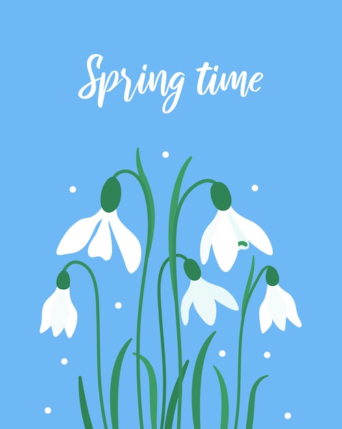 Vector snowdrops in blue background Spring beautiful wildflower Greeting card