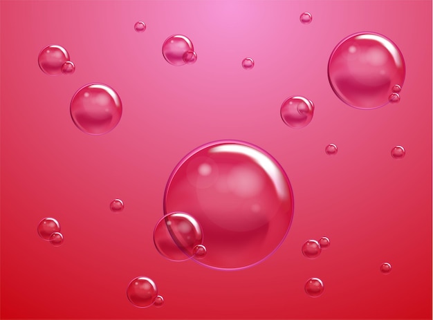 Vector Soap Water Bubbles Transparent Isolated Realistic Design Elements Can be used with any Background