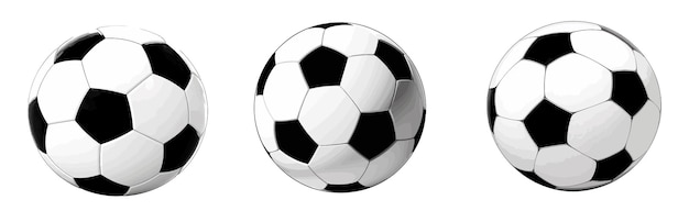 vector soccer ball realistic white black picture