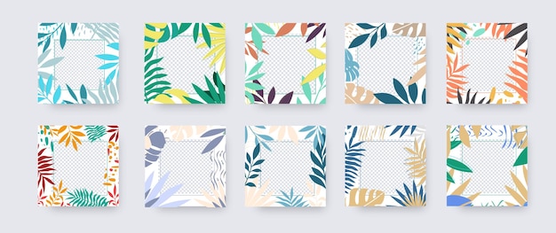 Vector social media post with colorful design tropical leaves exotic twigs on a white background