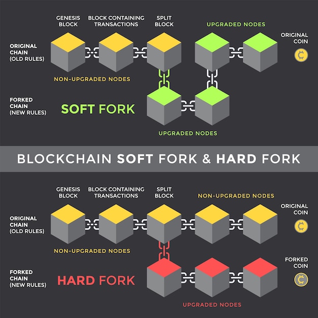 벡터 소프트 및 하드 포크 체인 분할 원칙 구성표 infographic 암호 화폐 블록 체인 네트워크 기술 디지털 비즈니스 개념 그림