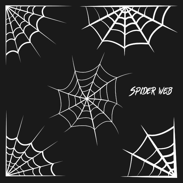 Vector spider web for halloween