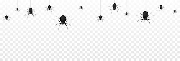 Vector spiders on an isolated transparent background. Background with spiders for design. Spiders.