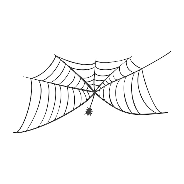 Vector spinnenwebpictogram getekend in één lijn op wit voor halloween.