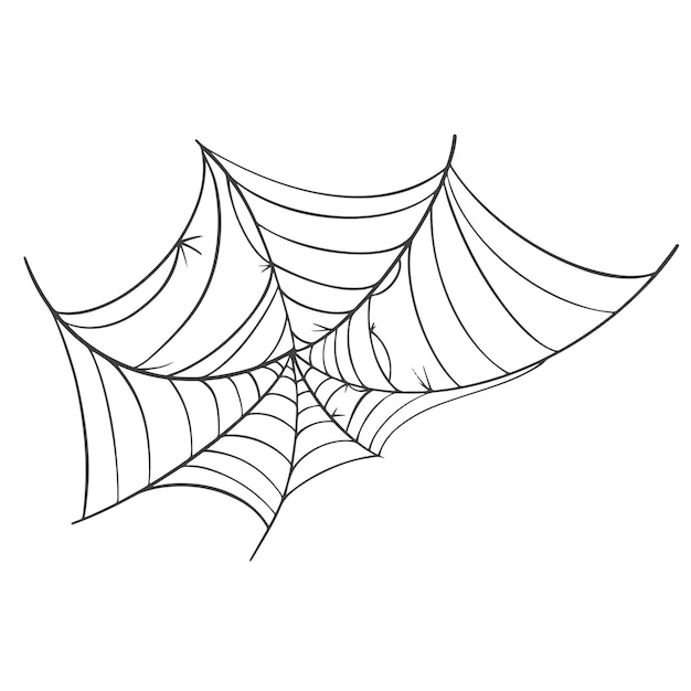 Vector spinnenwebpictogram getekend in één lijn op wit voor halloween.