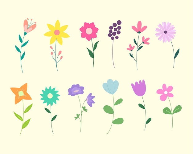 Vector Spring flower and leafs collection