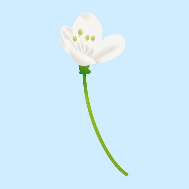 Вектор Векторные весенние цветы 3d реалистичные на белом
