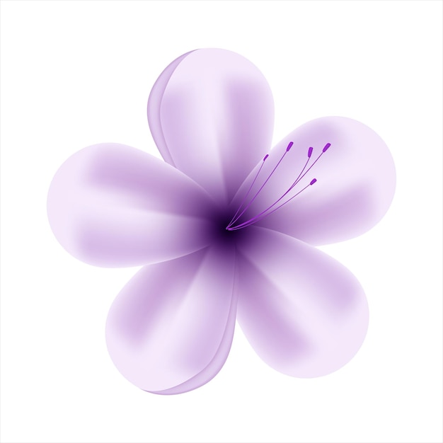 Vettore vettore fiori viola primaverili su sfondo bianco
