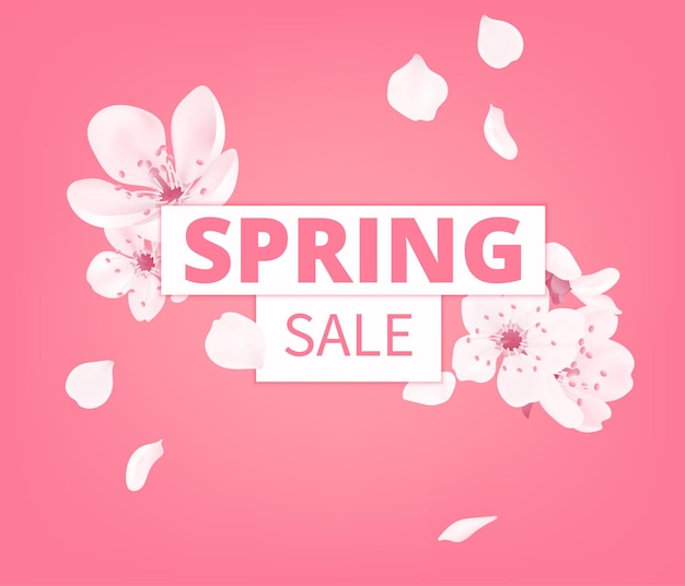 Vector Spring sale banner template with flowers blossom. Cherry flower, spring blooming pink sakura