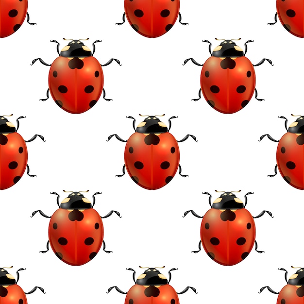 Vector spring seamless pattern with realistic ladybugs.