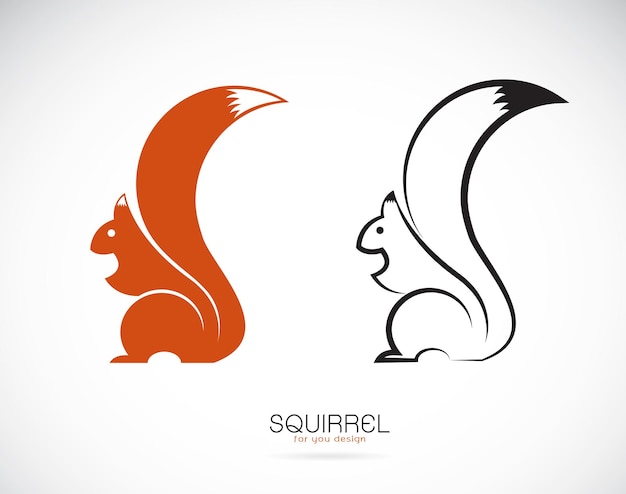 Vector of squirrel design on white background. Mammal. Animals.