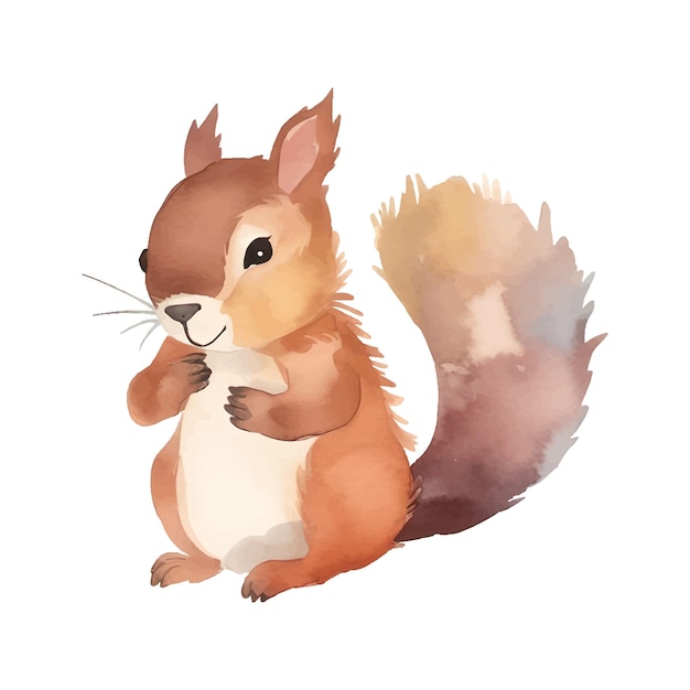 Vector squirrel watercolor catroon cute so cute fabulous style isolated on white