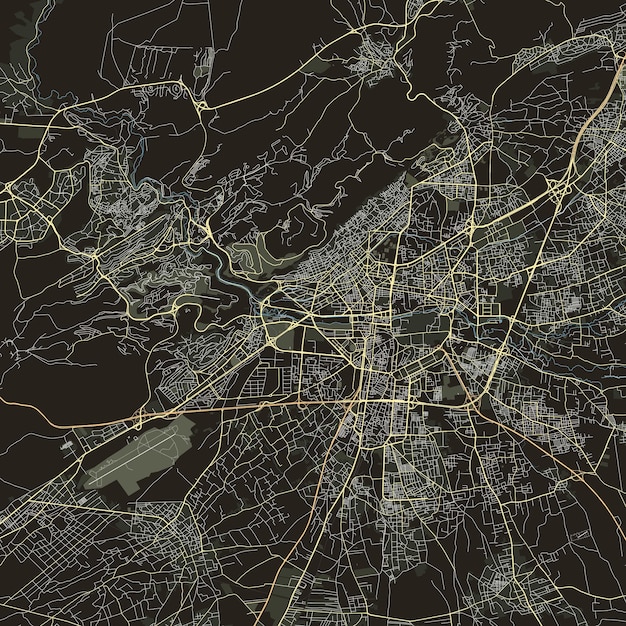 Vector vector stadskaart van damascus, syrië