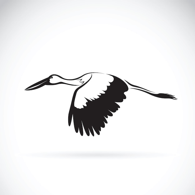 Vector of stork flying on white background. stork icon. bird design.