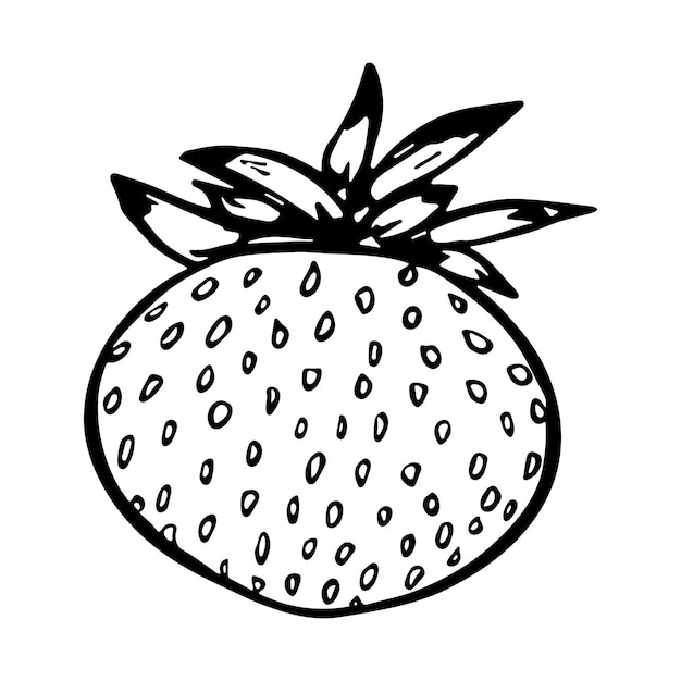 Clipart della fragola vettoriale icona della bacca disegnata a mano illustrazione della frutta per la decorazione del design web di stampa